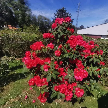 Rurales Del Sain منزل ريفي *