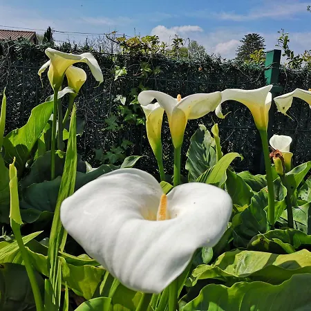 Rurales Del Sain منزل ريفي *