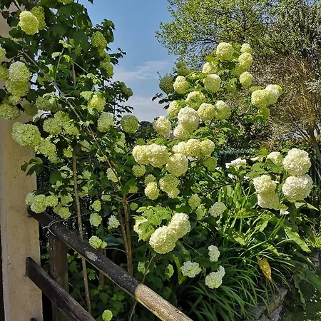 カントリーハウス Rurales Del Sain *
